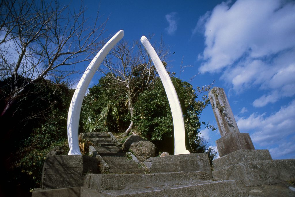 whale bone (Shinkamigoto)